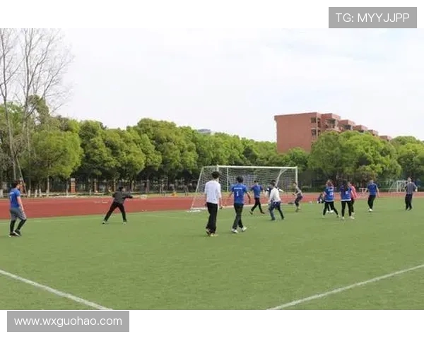 广州飞盘队在比赛中的战术控制与失误分析探讨