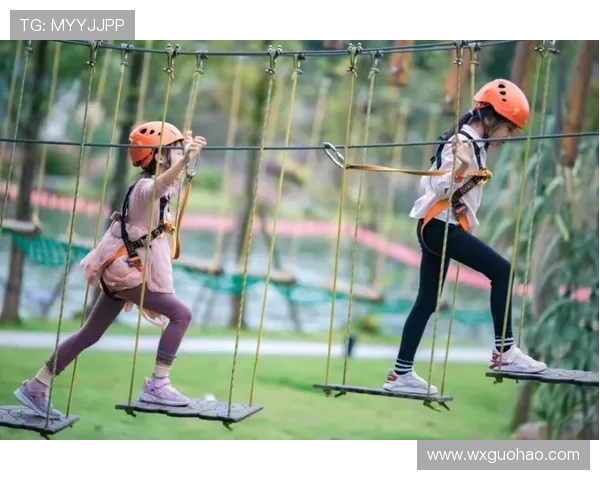 杭州极限运动队心理素质引发热议运动员心理承受能力的挑战与反思